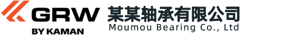 某某省某某轴承有限公司